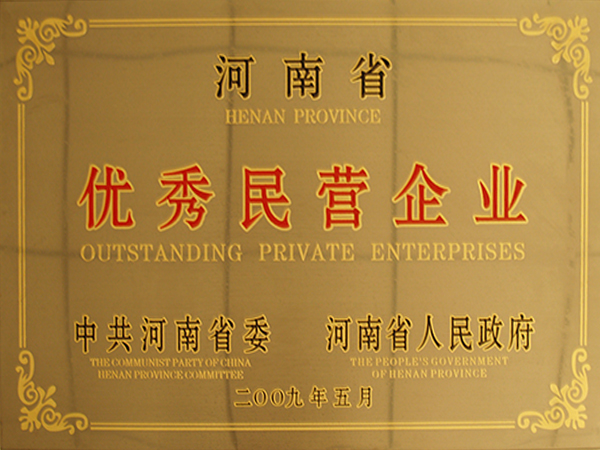 2009年河南省良好民营企业